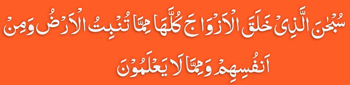 Surah Yasin Ayat 36 In arabic